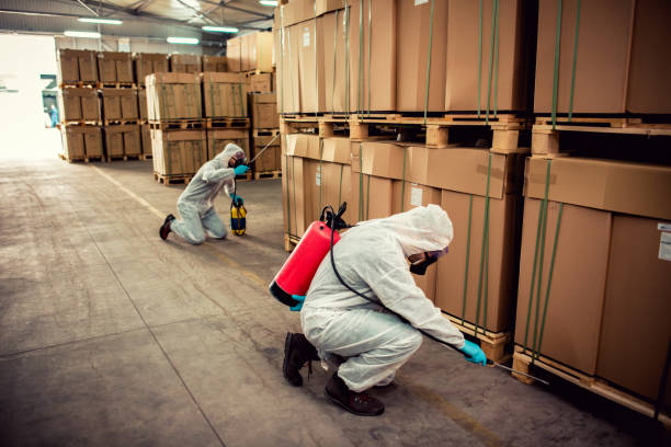 Best Pest Prevention Services  in South Greeley, WY