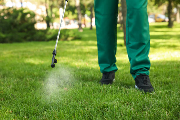 Best Flea Control Services  in South Greeley, WY
