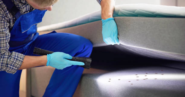 Best Bed Bug Extermination  in South Greeley, WY