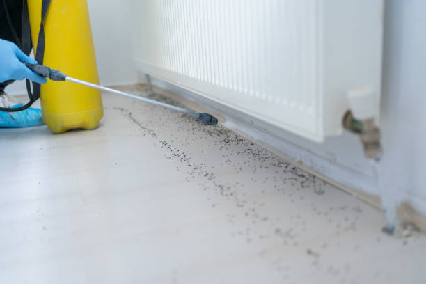 Professional Pest Control in South Greeley, WY