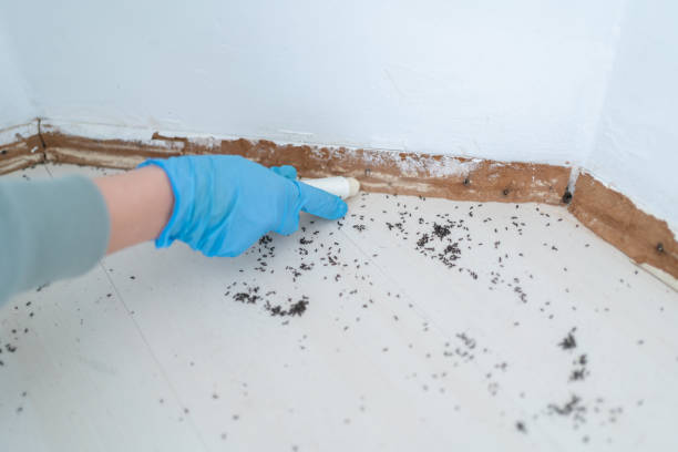 Best Pest Control for Restaurants  in South Greeley, WY