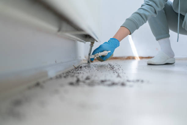Pest Control Cost in South Greeley, WY