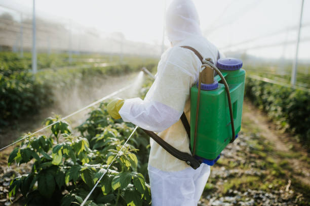 Best Local Pest Control Services  in South Greeley, WY